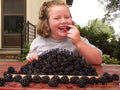 Doyle's Thornless Blackberry Plant with Free Cookbook Rose