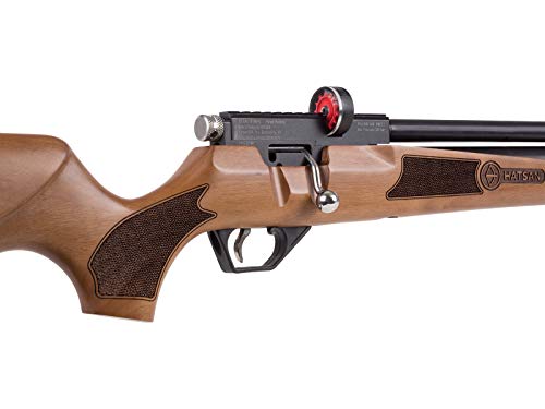 Wearable4U Hatsan Hydra .25 Cal QuietEnergy PCP Air Rifle Ultimate Bundle with Arrow Barrel, Hard Case, Targets, and Pellets