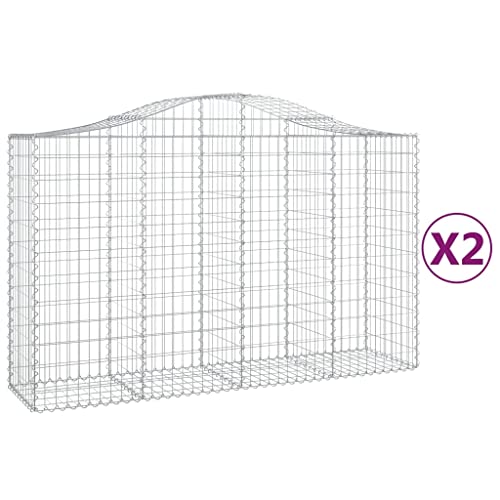 Arched Gabion Baskets 2 Pcs 78.7"x19.7"x47.2"/55.1" Galvanized Iron for Outdoor Plants White Black Other