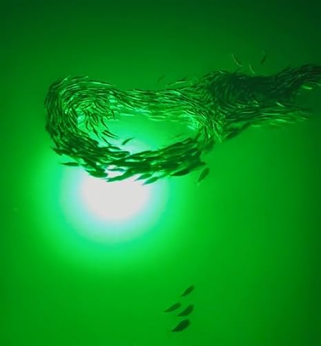 Incredible Underwater LED Lighting Mega-Watt Underwater Dock Light System 32000 Lumens Red