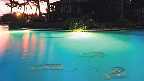 Custom Mosaics, Inc. Mahi Mahi Porcelain Pool Mosaic 36" x 20