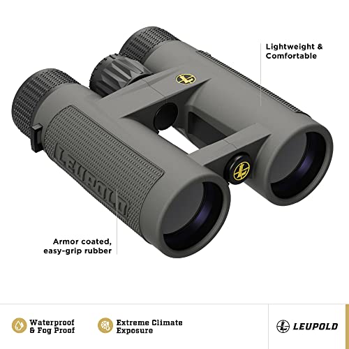 Leupold BX-4 Pro Guide HD Binoculars 10x42mm Shadow Gray
