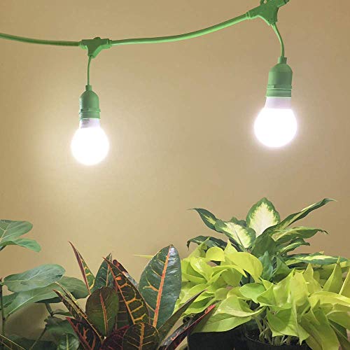 Miracle LED Smokephonics Indoor Grow Light Kit - Full Spectrum 150W Replacement Bulbs & 2-Socket Fixture with Timer (6-Pack)