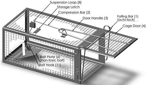 AB Traps Quality Live Animal Humane Trap for Rats, Mice, and Rodents - Small 10.5" x 5.5" x 4.5" 100-Pack