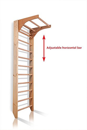CleverWood Swedish Ladder Stall Bars Set for Physical Therapy & Gymnastics