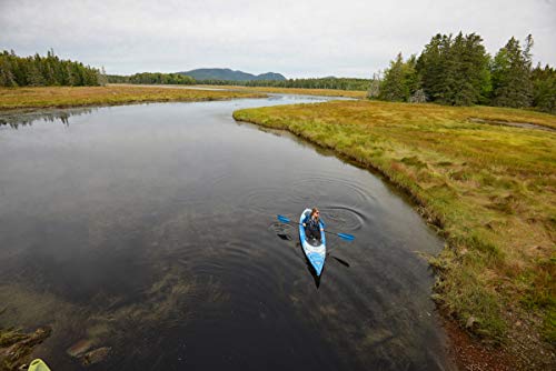 Old Town Loon 106 Recreational Kayak Lemongrass 10'6