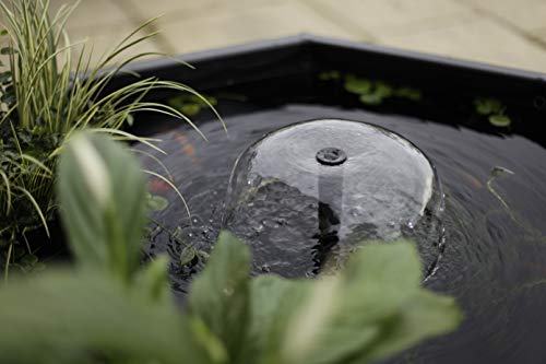 Aquagarden Complete Raised Window Pond Kit - Octagon Mocha