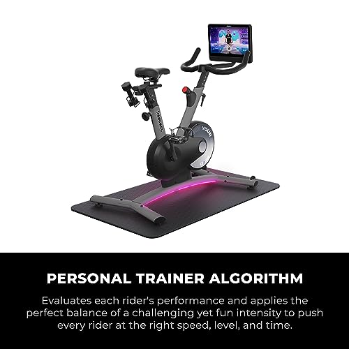 freebeat. Exercise Bike Mist Gray