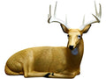 Rinehart Targets 121 Bedded Buck Archery Self-Healing Shooting Target Brown