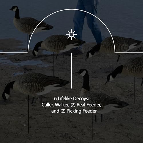 Avian-X Lessers 6 Piece Fusion Goose Decoy Set Multicolor