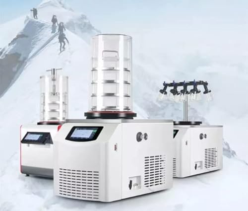 GOYOJO Vacuum Freeze Drying Machine Food Dryer Fruit FSF-10N-60D White
