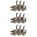 Avian-X AXP 6 Piece Goose Decoy Set with Rugged Steel Base