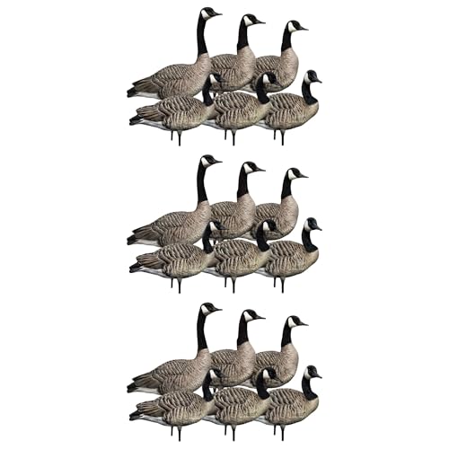 Avian-X AXP 6 Piece Goose Decoy Set with Rugged Steel Base