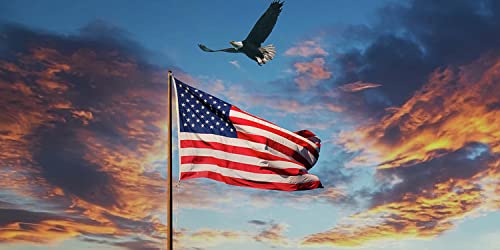 DANF FLAG American Flag 30x50 ft Super Tough Tearproof Spun Polyester