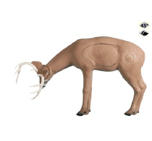 Rinehart Targets 143 Fighting/Rubbing Buck Self-Healing Deer Archery Target Multicolor