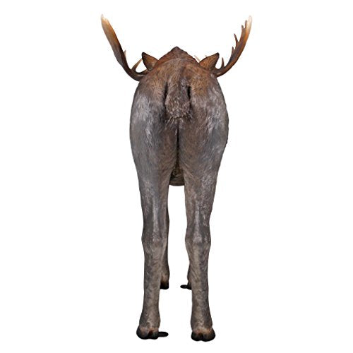 Design Toscano North American Majestic Moose Full Scale Animal Statue Full Color