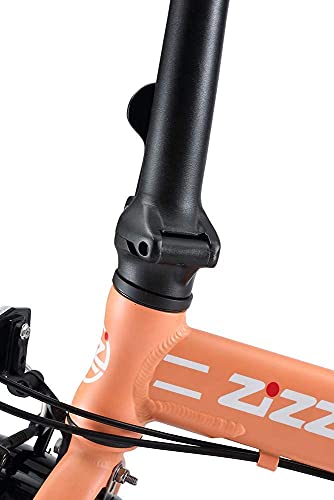 ZiZZO Forte Heavy Duty Folding Bike Coral