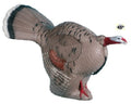 Rinehart Targets 409 Gobbling Turkey Self Healing Archery Hunting Target Multicolor