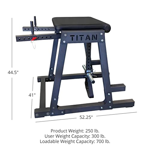 Titan Fitness H-PND Reverse Hyperextensions Lower Body Machine 550 LB Rated