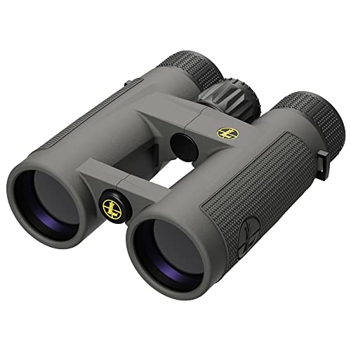 Leupold BX-4 Pro Guide HD Binoculars 10x42mm Shadow Gray