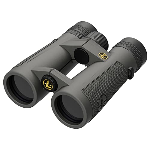 Leupold BX-5 Santiam HD Binoculars 8x42mm Shadow Gray