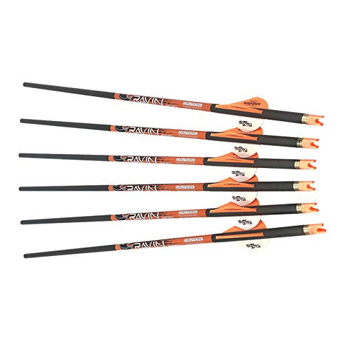 RAVIN R29X 450 FPS Crossbow Package with Hard Case and Arrows Black