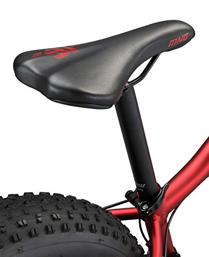Mongoose Argus Trail 24-Inch Youth Fat Tire Mountain Bike Red