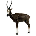 Delta McKenzie African Blesbok 3D Pro Target Brown