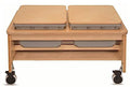 Whitney Brothers Whitney Plus Two Tub Sand & Water Table Natural UV