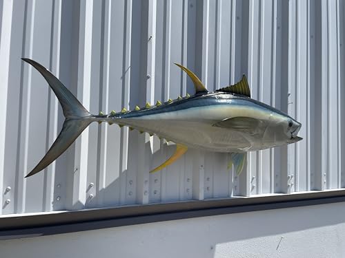 Mount This Fish Company 52" Yellowfin Tuna Full Mount Fish Replica Two Sided