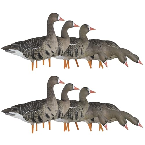 Avian-X AXP Specklebelly Decoy Fusion Pack 12 Pack