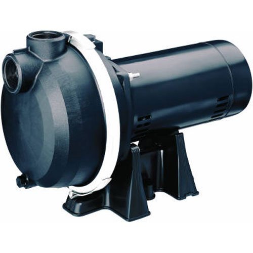 Pentair 2 HP Sprinkler Pump