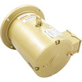 Pentair 357207S 7-1/2 HP Single Phase Motor C-Series Pump