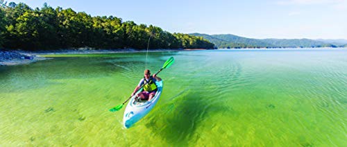 Perception Kayaks Sound 9.5 Sit Inside Fishing Kayak Dapper