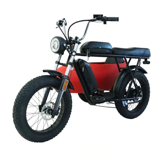 RZZLGY Electric Motorcycle with Sidecar, Snow Tires, 60km Range, Red