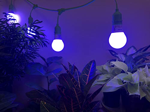 Miracle LED Smokephonics Powervine Indoor Grow Light Kit with Multi-Spectrum Bulbs