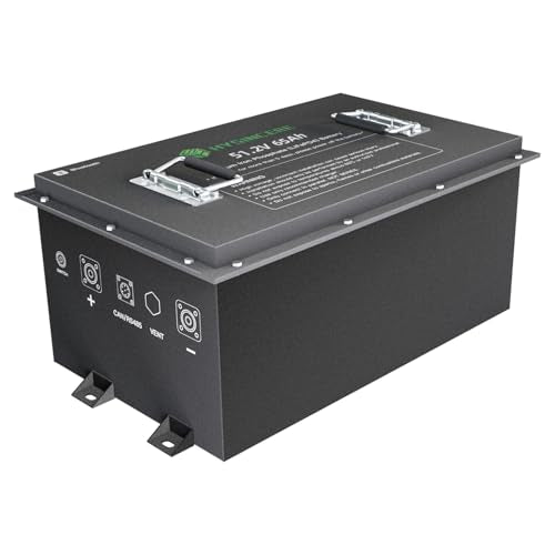 HYSINCERE 48V 65Ah Golf Cart Batteries with Bluetooth Monitor