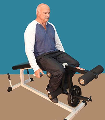 TDS Heavy Duty Leg Curl Extension Machine Gray Frame and Black Pads