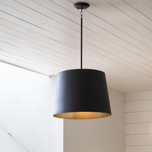 Hinkley Alder Large Outdoor Hanging Pendant 1-Light Aluminum Burnished Bronze