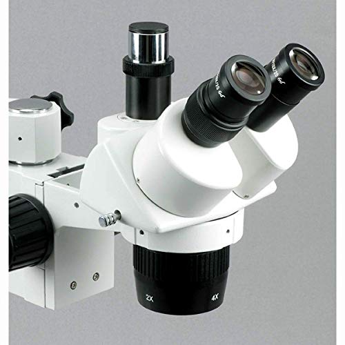 AmScope Trinocular Stereo Microscope 20X/40X Magnification Clear