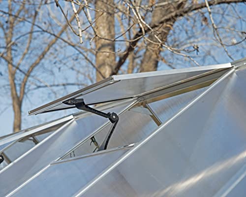 Palram Canopia 6x8 Greenhouse Kit Silver