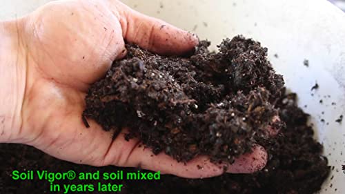 Soil Vigor Potassium Water Storing Polymer Crystal for Soil Aeration 45g