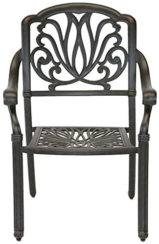 theWorldofpatio Elizabeth Cast Aluminum 9-Piece Dining Set 44"x84" Antique Bronze
