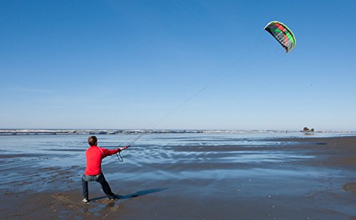Prism Kite Technology Tensor 5.0 Convertible Dual/Quad-line Power Kite Silver