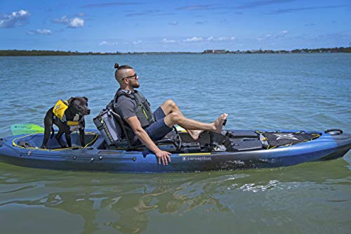 Perception Kayaks Pescador Pilot 12 Fishing Kayak Dapper