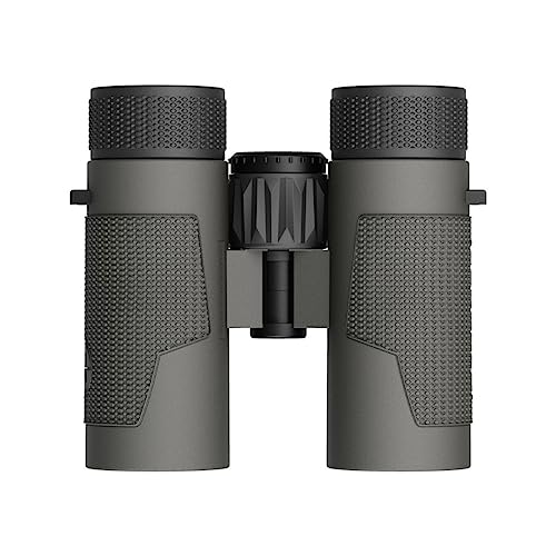Leupold BX-4 Pro Guide HD Binocular 8x32mm Gray