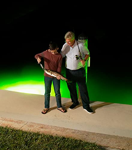 Underwater FishLight Extra Bright 250W Double Light Natural Green