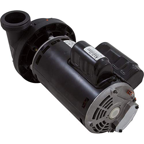 Balboa Water Group 6500-343 2-Spd 2.5HP 230V 60Hz OEM Pump