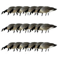 Avian-X AXP Honkers Fusion Pack Lesser Canada Goose Decoys Set of 18 Brown and White