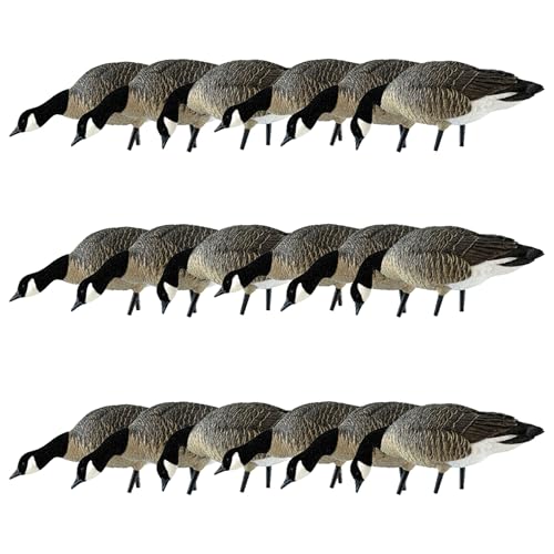 Avian-X AXP Honkers Fusion Pack Lesser Canada Goose Decoys Set of 18 Brown and White
